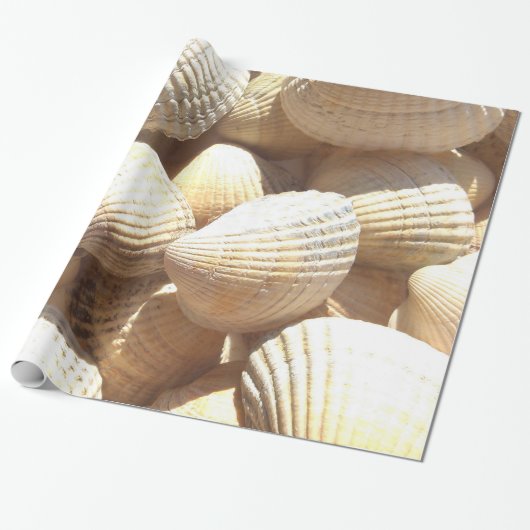 Tropische sonnige exotische Muscheln Geschenkpapier (Ungerollt)