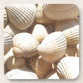 Tropische sonnige exotische Muscheln Getränkeuntersetzer (Vorderseite)