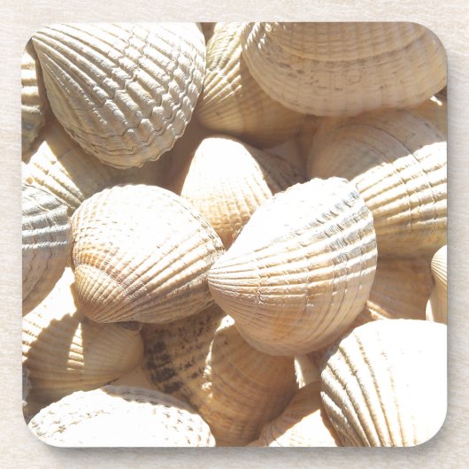 Tropische sonnige exotische Muscheln Getränkeuntersetzer (Vorderseite)