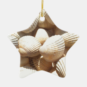 Tropische sonnige exotische Muscheln Keramikornament