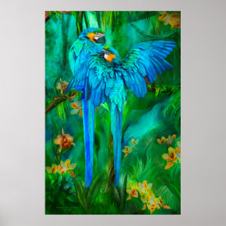 Tropische Spirituosen - Gold und Blue Macaws Art P Poster