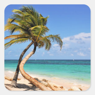 Tropische Strand-und Palme Quadratischer Aufkleber
