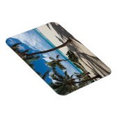 Tropische Strände | Anguilla Beach, Palm Tree Magnet (Rechte Seite)