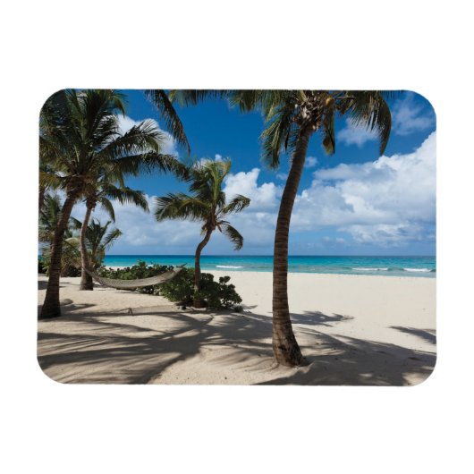 Tropische Strände | Anguilla Beach, Palm Tree Magnet (Horizontal)