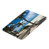 Tropische Strände | Anguilla Beach, Palm Tree Magnet (Linke Seite)