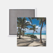 Tropische Strände | Anguilla Beach, Palm Tree Magnet (Vorderseite/Rückseite)