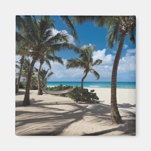 Tropische Strände | Anguilla Beach, Palm Tree Magnet (Vorne)