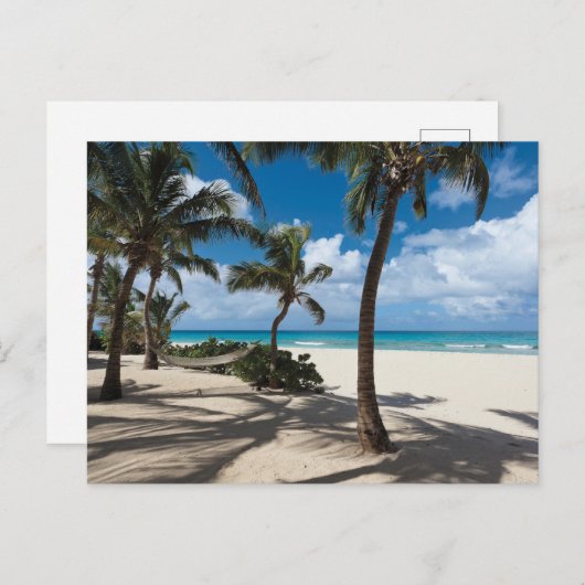 Tropische Strände | Anguilla Beach, Palm Tree Postkarte (Vorne/Hinten)