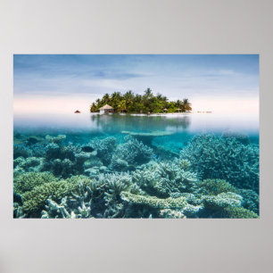 Tropische Strände   Ari Atoll Maldives Poster