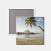 Tropische Strände | Beach Huts, Bora Bora Magnet (Vorderseite/Rückseite)