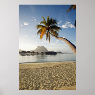 Tropische Strände Beach Huts, Bora Bora Poster