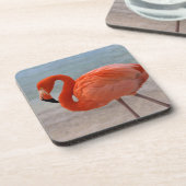 Tropische Strände | Caribbean Flamingo, Aruba Getränkeuntersetzer (Linke Seite)
