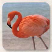 Tropische Strände | Caribbean Flamingo, Aruba Getränkeuntersetzer (Vorderseite)