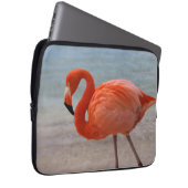 Tropische Strände | Caribbean Flamingo, Aruba Laptopschutzhülle (Vorne Rechts)