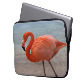 Tropische Strände | Caribbean Flamingo, Aruba Laptopschutzhülle (Vorderseite Links)