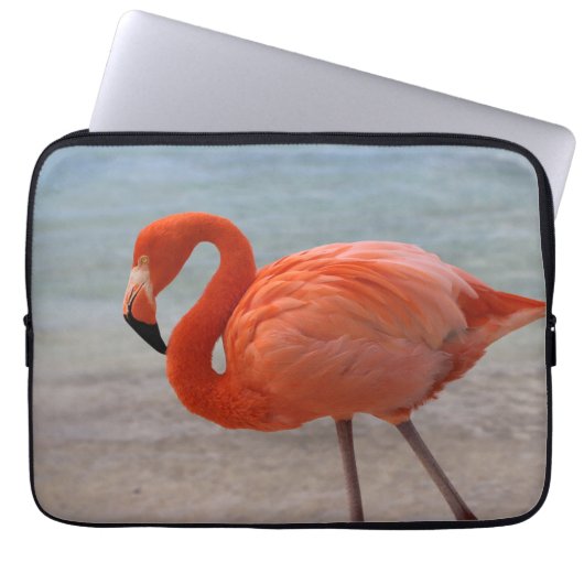Tropische Strände | Caribbean Flamingo, Aruba Laptopschutzhülle (Vorderseite)