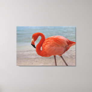 Tropische Strände Caribbean Flamingo, Aruba Leinwanddruck