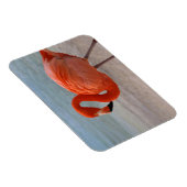 Tropische Strände | Caribbean Flamingo, Aruba Magnet (Rechte Seite)