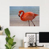 Tropische Strände | Caribbean Flamingo, Aruba Poster (Heimbüro)