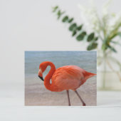 Tropische Strände | Caribbean Flamingo, Aruba Postkarte (Stehend Vorderseite)
