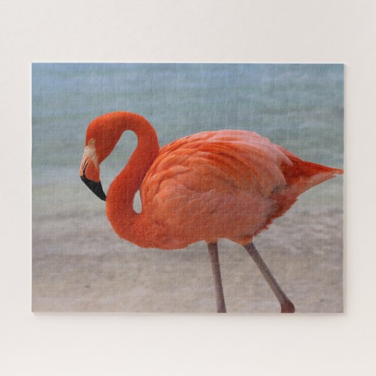 Tropische Strände | Caribbean Flamingo, Aruba Puzzle (Horizontal)