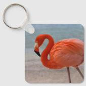 Tropische Strände | Caribbean Flamingo, Aruba Schlüsselanhänger (Vorderseite)