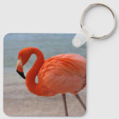 Tropische Strände | Caribbean Flamingo, Aruba Schlüsselanhänger (Rückseite)