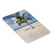 Tropische Strände | Eagle Beach, Aruba Magnet (Rechte Seite)