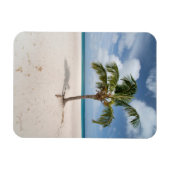 Tropische Strände | Eagle Beach, Aruba Magnet (Horizontal)