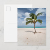 Tropische Strände | Eagle Beach, Aruba Postkarte (Vorne/Hinten)