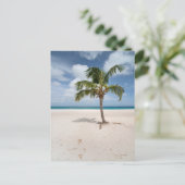 Tropische Strände | Eagle Beach, Aruba Postkarte (Stehend Vorderseite)