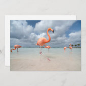 Tropische Strände | Flamingos Beach, Aruba Dankeskarte (Vorne/Hinten)