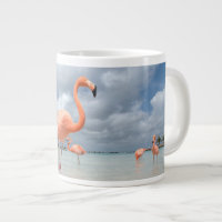 Tropische Strände | Flamingos Beach, Aruba