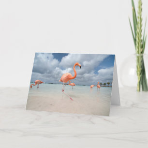Tropische Strände Flamingos Beach, Aruba Karte