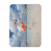 Tropische Strände | Flamingos Beach, Aruba Magnet (Vertikal)