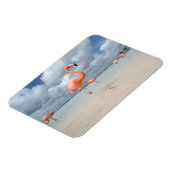 Tropische Strände | Flamingos Beach, Aruba Magnet (Linke Seite)