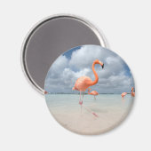 Tropische Strände | Flamingos Beach, Aruba Magnet (Vorderseite/Rückseite)