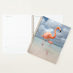 Tropische Strände Flamingos Beach, Aruba Planer