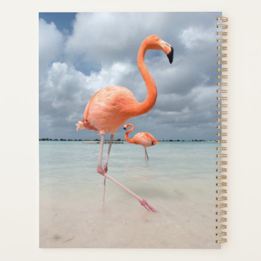 Tropische Strände | Flamingos Beach, Aruba Planer (Rückseite)