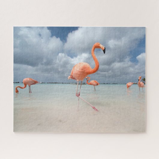 Tropische Strände | Flamingos Beach, Aruba Puzzle (Horizontal)