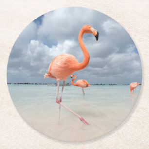 Tropische Strände Flamingos Beach, Aruba Runder Pappuntersetzer