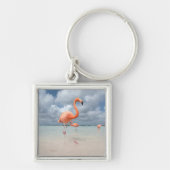 Tropische Strände | Flamingos Beach, Aruba Schlüsselanhänger (Vorne)