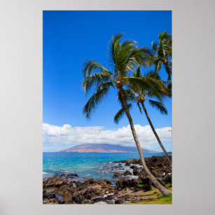 Tropische Strände   Insel Maui Hawaii Poster