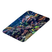 Tropische Strände | Korallenriff Magnet (Linke Seite)