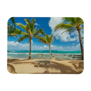 Tropische Strände   Kuau Cove Beach, Maui Hawaii Magnet