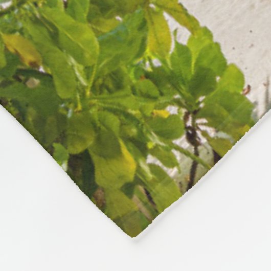 Tropische Strände | Maldives Island Wooden Jetty Fleecedecke (Ecke)