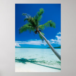 Tropische Strände Motu Tofari Beach, Bora Bora Poster