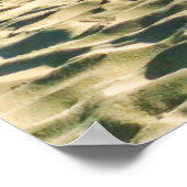 Tropische Strände | Segelboot, Palm Tree, Aruba Poster (Ecke)