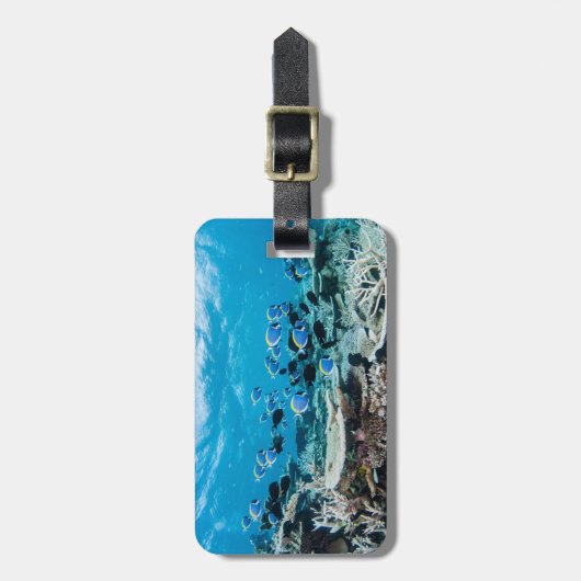 Tropische Strände | Sturgeon Gepäckanhänger (Vorderseite vertikal)