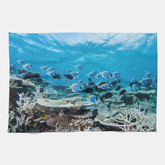 Tropische Strände | Sturgeon Geschirrtuch (Horizontal)